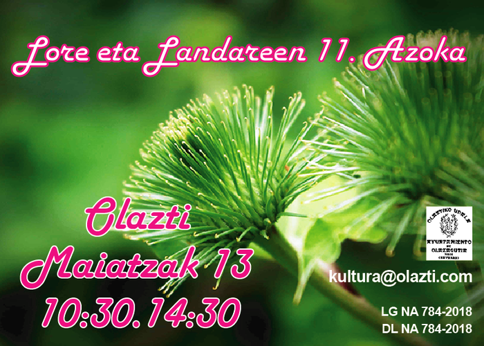 11. Lore Azoka