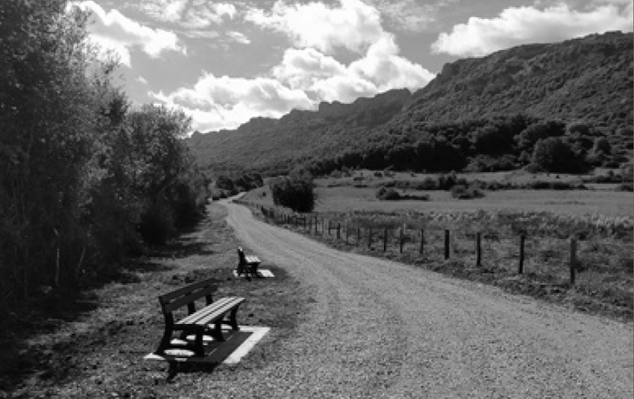 Sakanako lexia konposatuak (XVII)