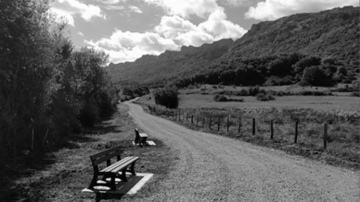 Sakanako lexia konposatuak (XVII)