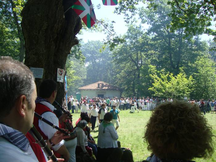 San Pedro zelaia altsasuarren zain