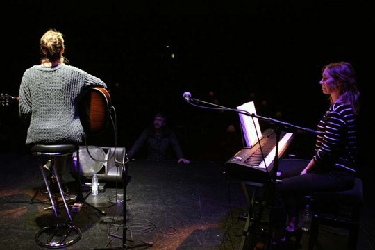 Musikaren desegokiak
