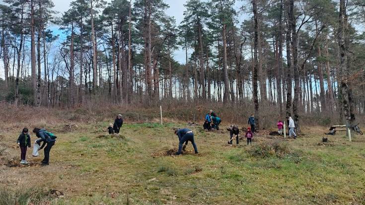 Kukuerrekaren landaketa