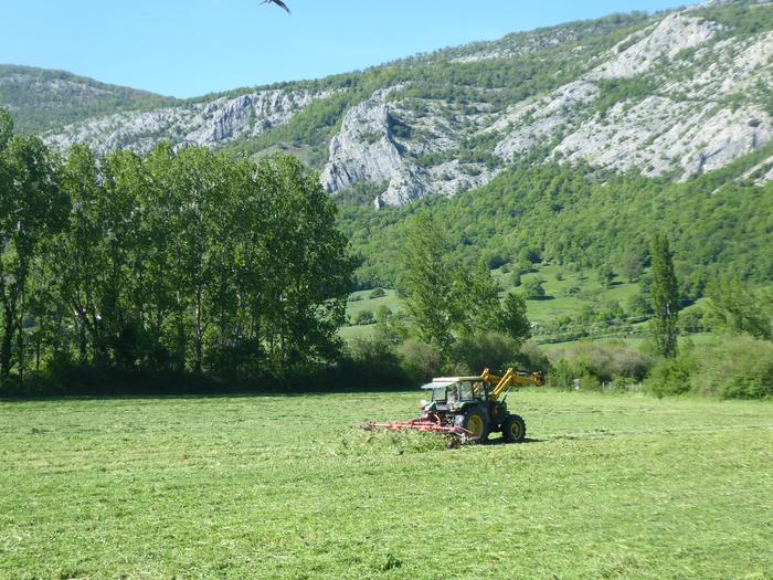 Abeltzainekdako deialdia egin du Uharte Arakilgo Udalak