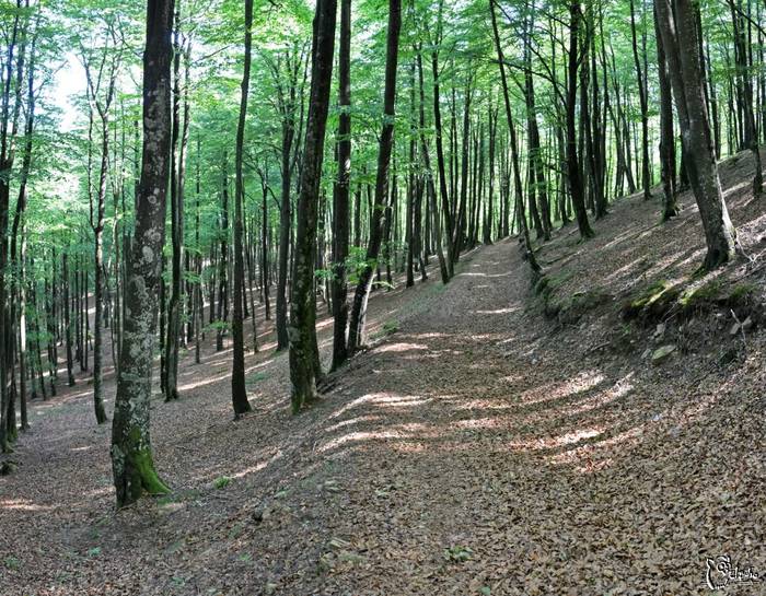 Lizarrusti-Etxarri