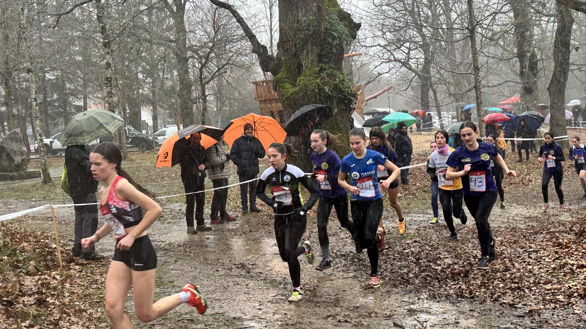 Dantzalekun, lohian eta eurian hegan