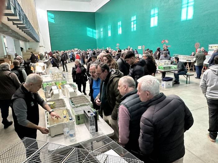 Txorizale asko elkartu ziren Olaztiko topaketan