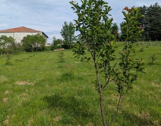Satrustegiko Mikorena etxea agroekologia zentro bihurtuko da