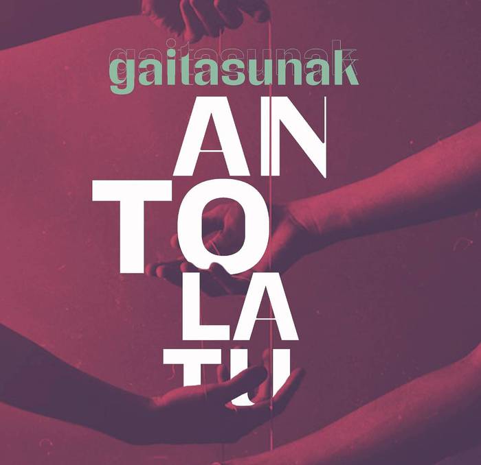 Itaia gaitasunak antolatu aurkezpena