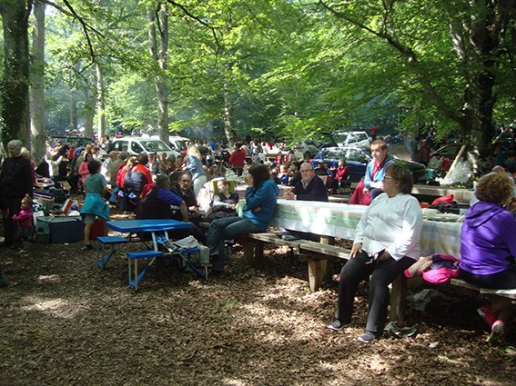 Ekainaren 16an, San Adrian