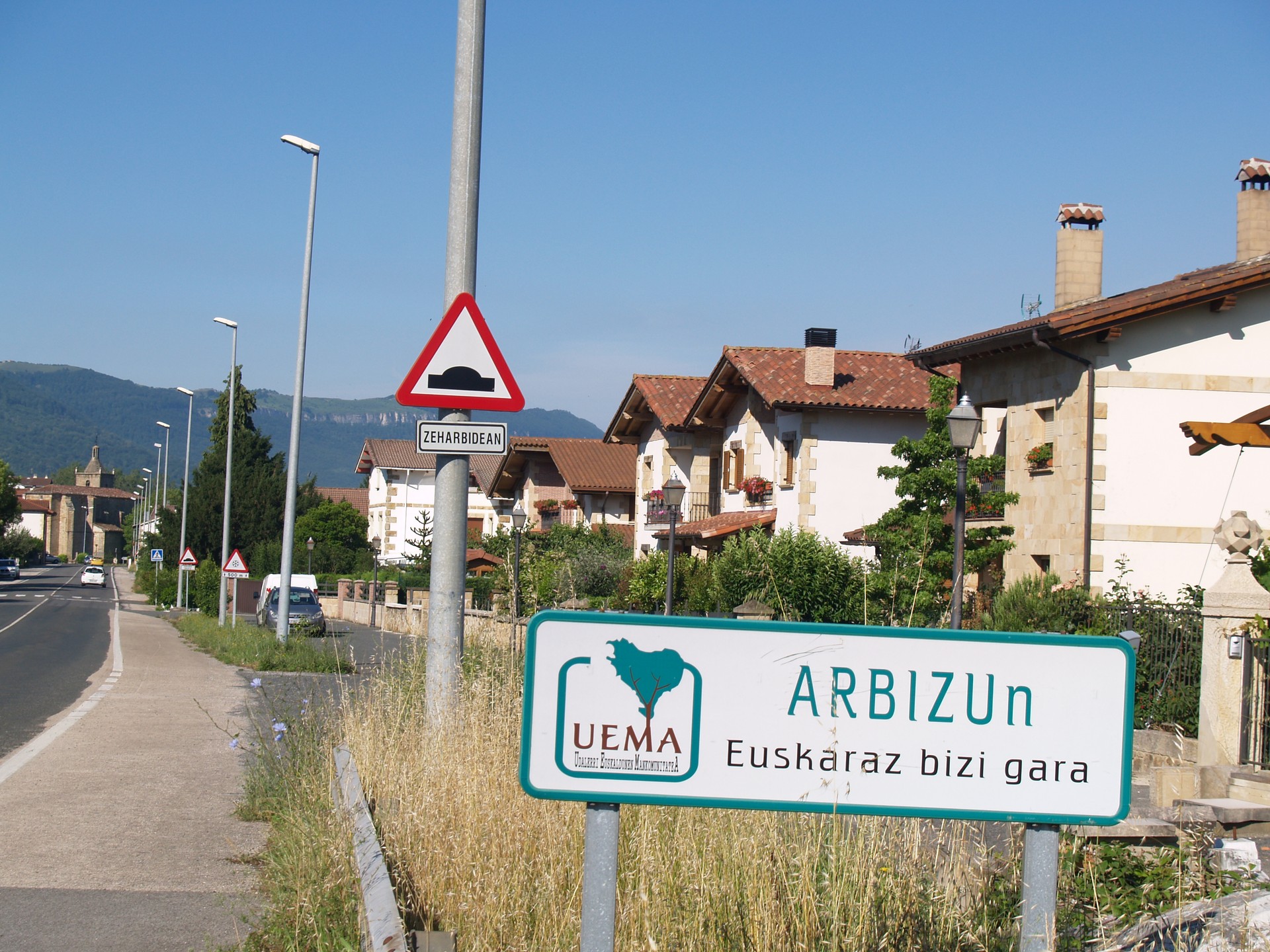 Ama hizkuntza edo lehen hizkuntza