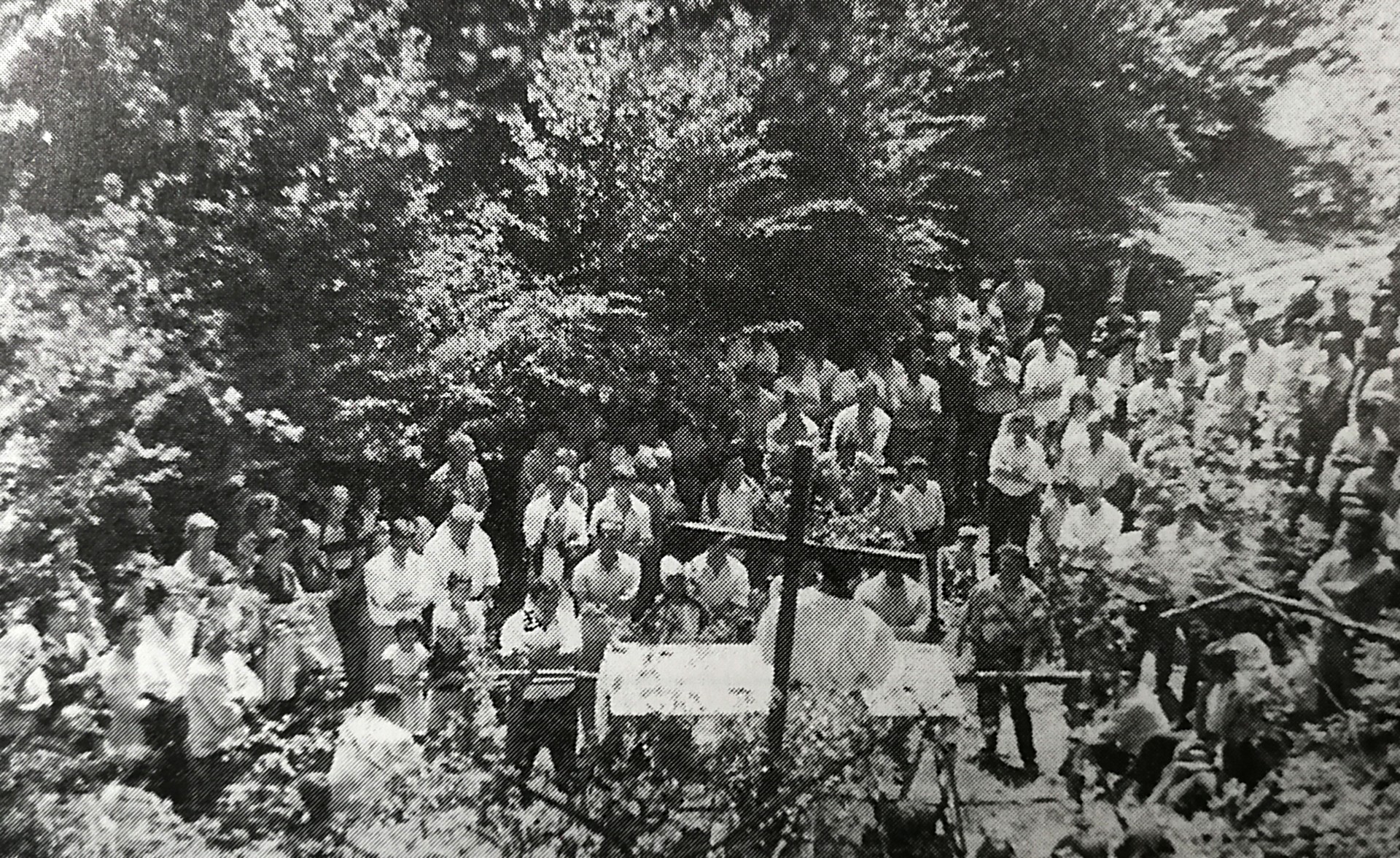 Arbizuko galdutako erromeria