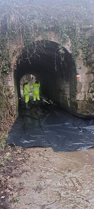 Adifekoak Altzituertako tunelean