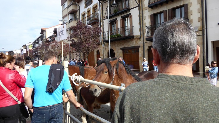 Feriak, antzezlanak, mendi irteerak, erakusketak...