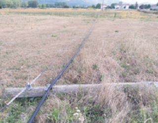 Hitzez hitz, sarea erori da