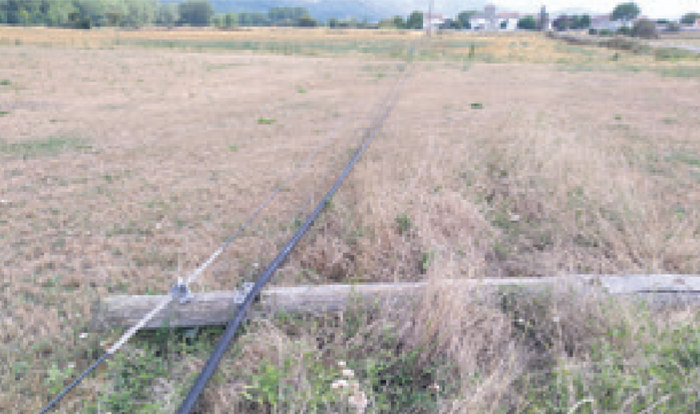 Hitzez hitz, sarea erori da