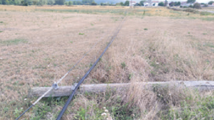 Hitzez hitz, sarea erori da