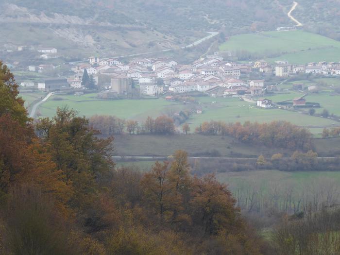 Kontzejuak baso aprobetxamendua saldu nahi du