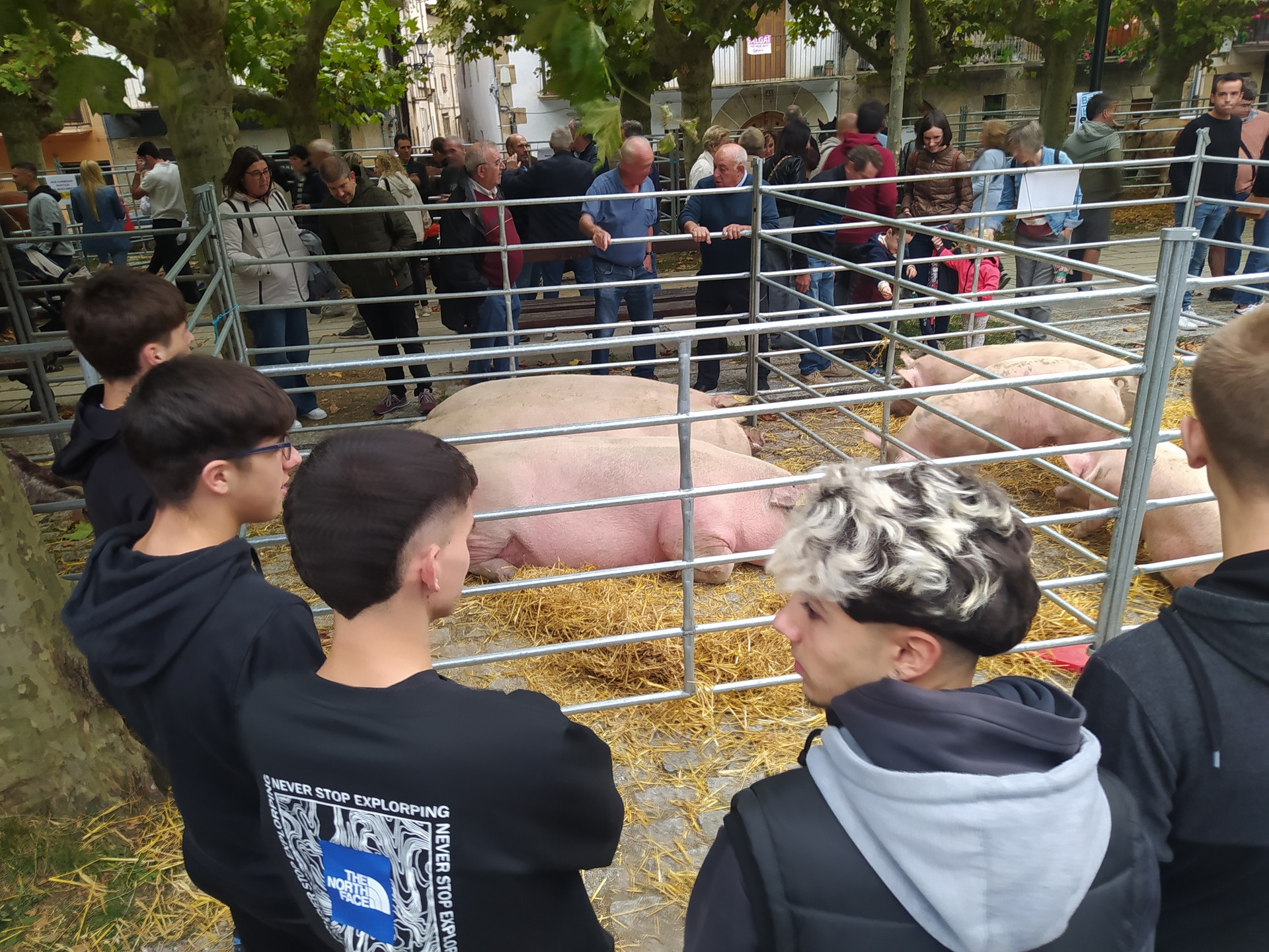 Etxarriko Ferietan, herriko aziendako 116 buru