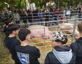 Etxarriko Ferietan, herriko aziendako 116 buru