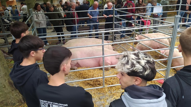 Etxarriko Ferietan, herriko aziendako 116 buru