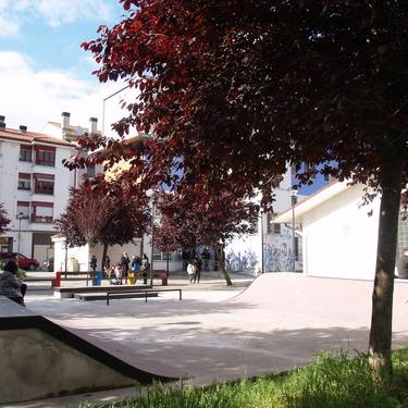 Sexgunea eta gazte zinema