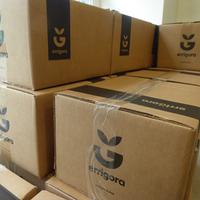 Errigorako pintxo potea