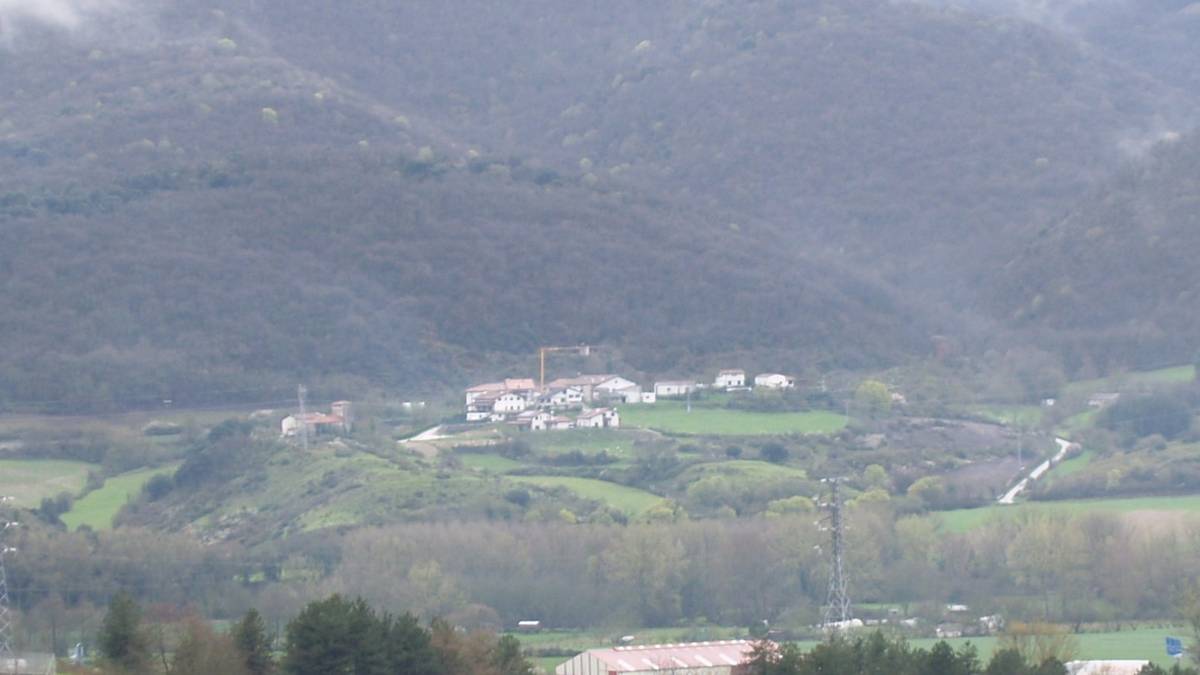 Kontzejuak larreen aprobetxamendua enkantean jarri du