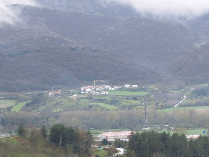 Kontzejuak larreen aprobetxamendua enkantean jarri du