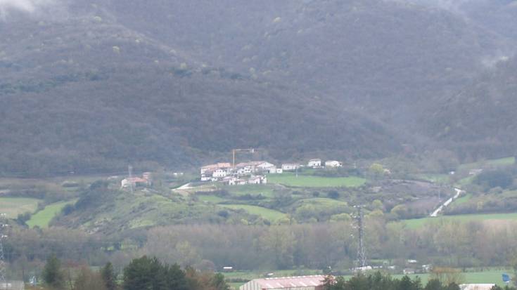 Kontzejuak larreen aprobetxamendua enkantean jarri du