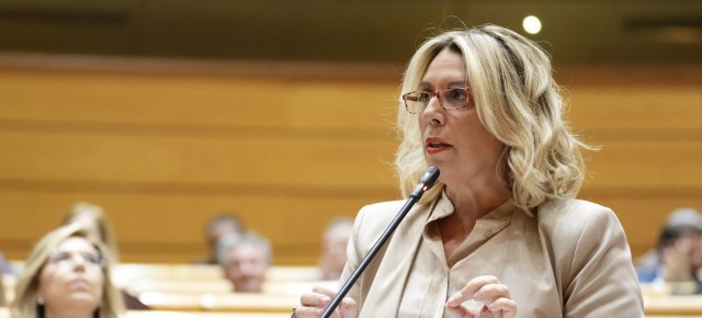 PPk zentro-eskuineko botoa "kontzentratzeko" deia egin du