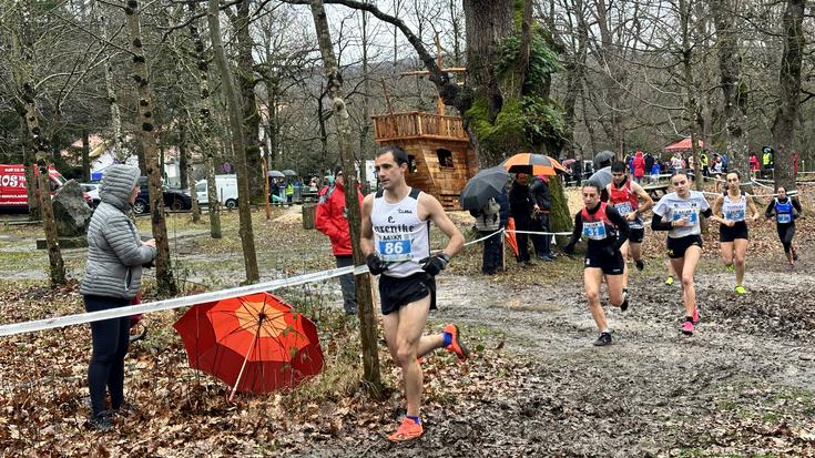 Atletismoa, xakea, mendia, pilota eta gimnasia erritmikoa