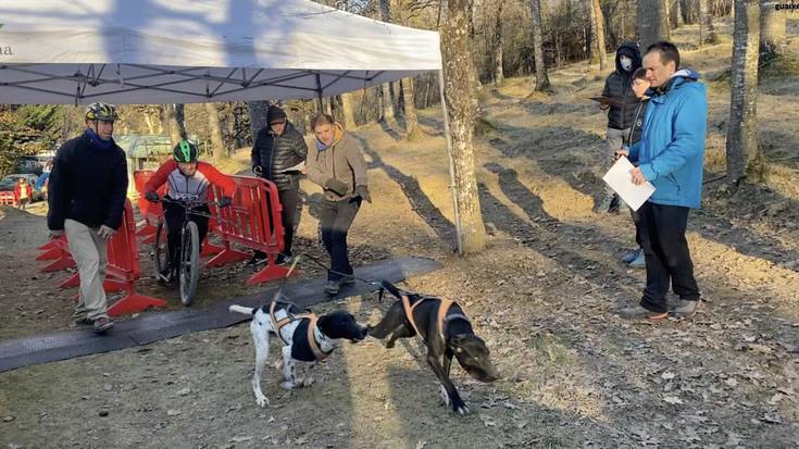 Etxarri Aranazko Txakurkrosa, ikusgarria