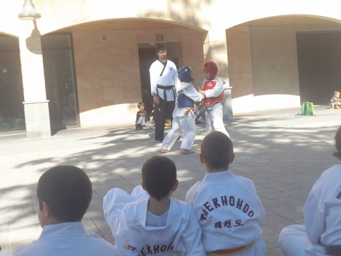 Taekwondora gerturatzeko gonbita