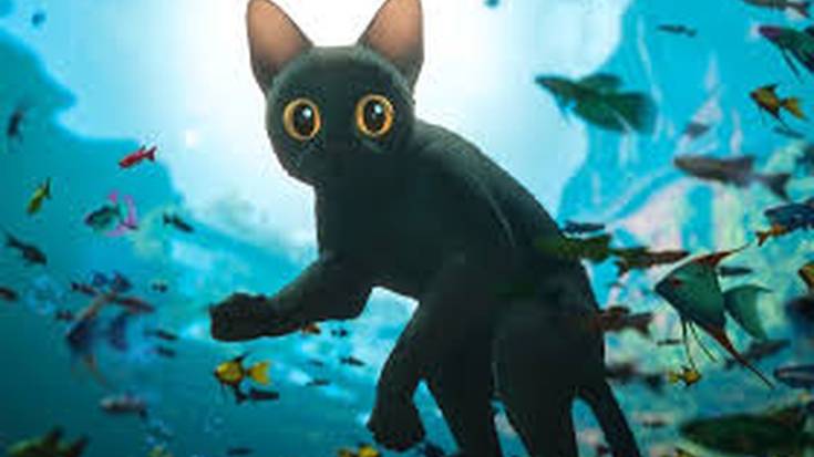 'Flow' filmaren emanaldia