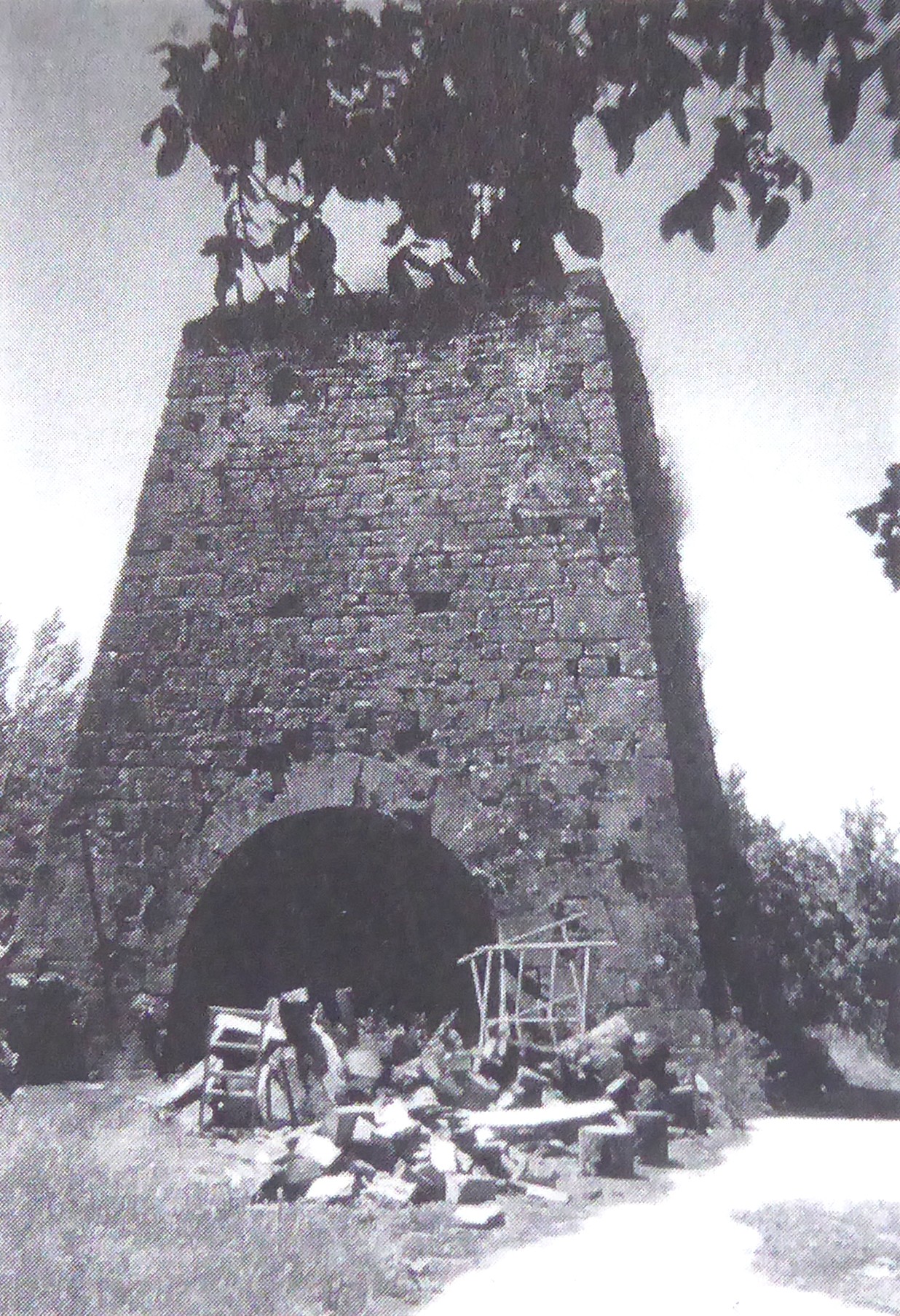 Bakaikuri buruzko liburua