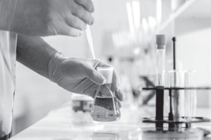 Legearen atzeko ikerketa zientifikoa