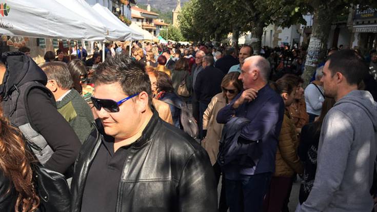 Gizarte Zerbitzuen finantziazioa %69,43 hazi zen 2016an 