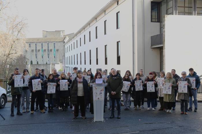 Lanbide Heziketan eta Unibertsitatean euskara ikasteko "benetako bermeak" eskatu ditu Kontseiluak