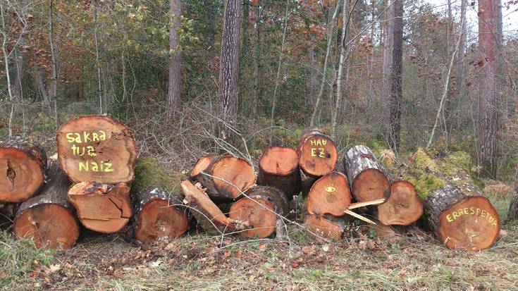 Basoitxiko “mozketa masiboa gelditzeko” arte jolasa