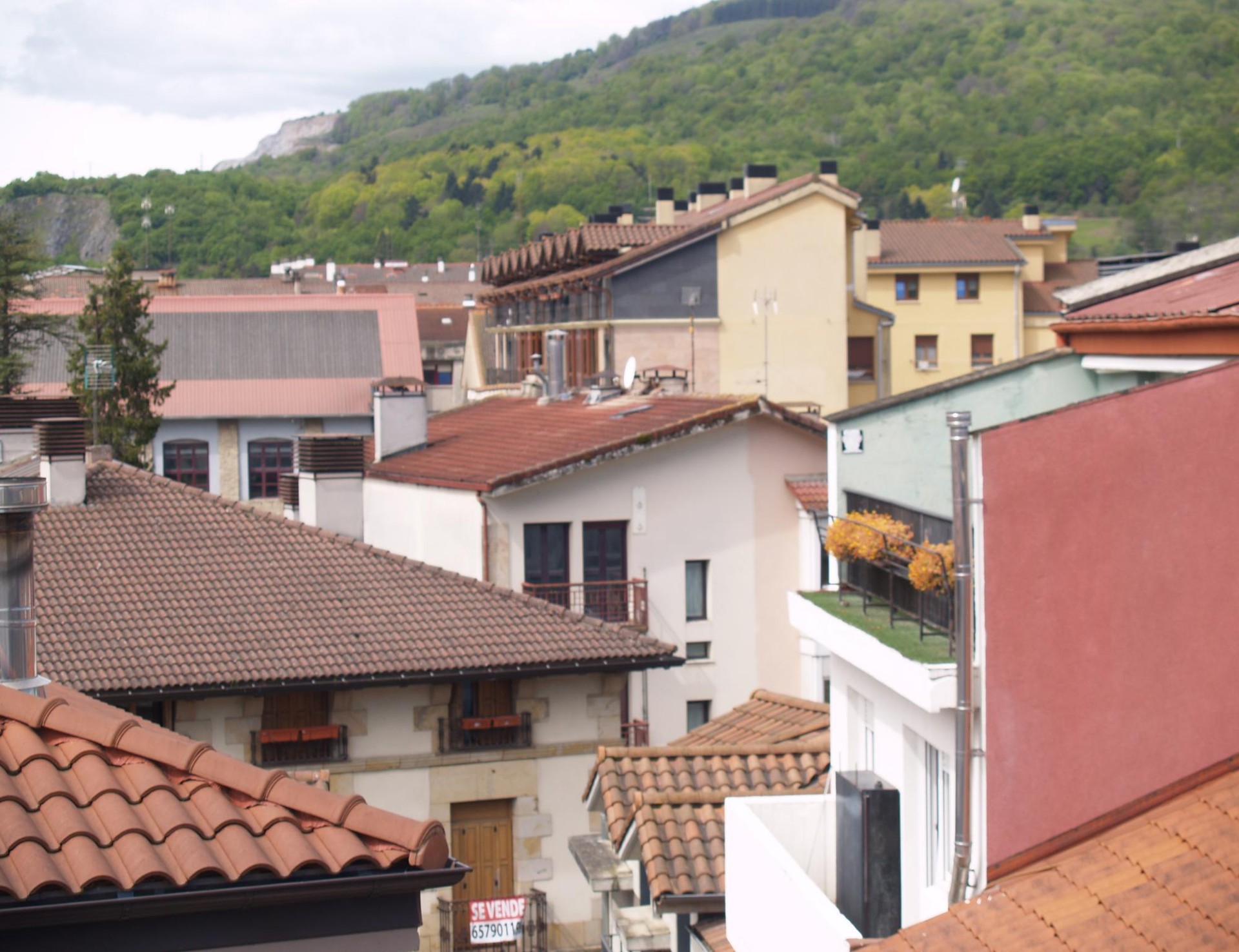 Altsasu Bizitegi Merkatuko Eremu Tentsionatuak deklaratzeko prozesuan sartuta