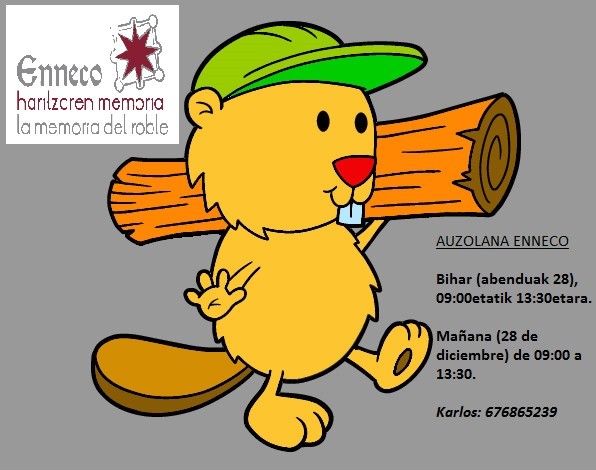 Eguberrietako jaiak aprobetxatuz azuolanean parte hartu nahi?