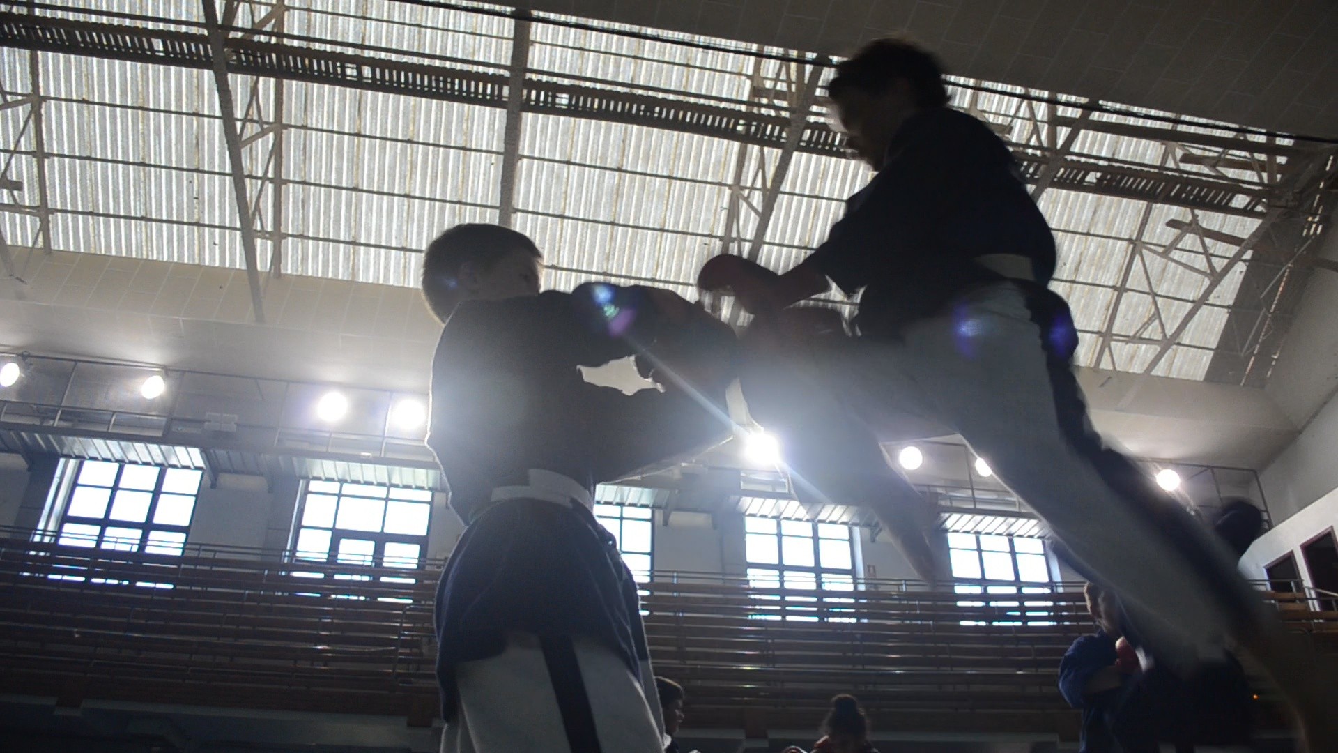 Yoseikan budo erakustaldia Altsasun