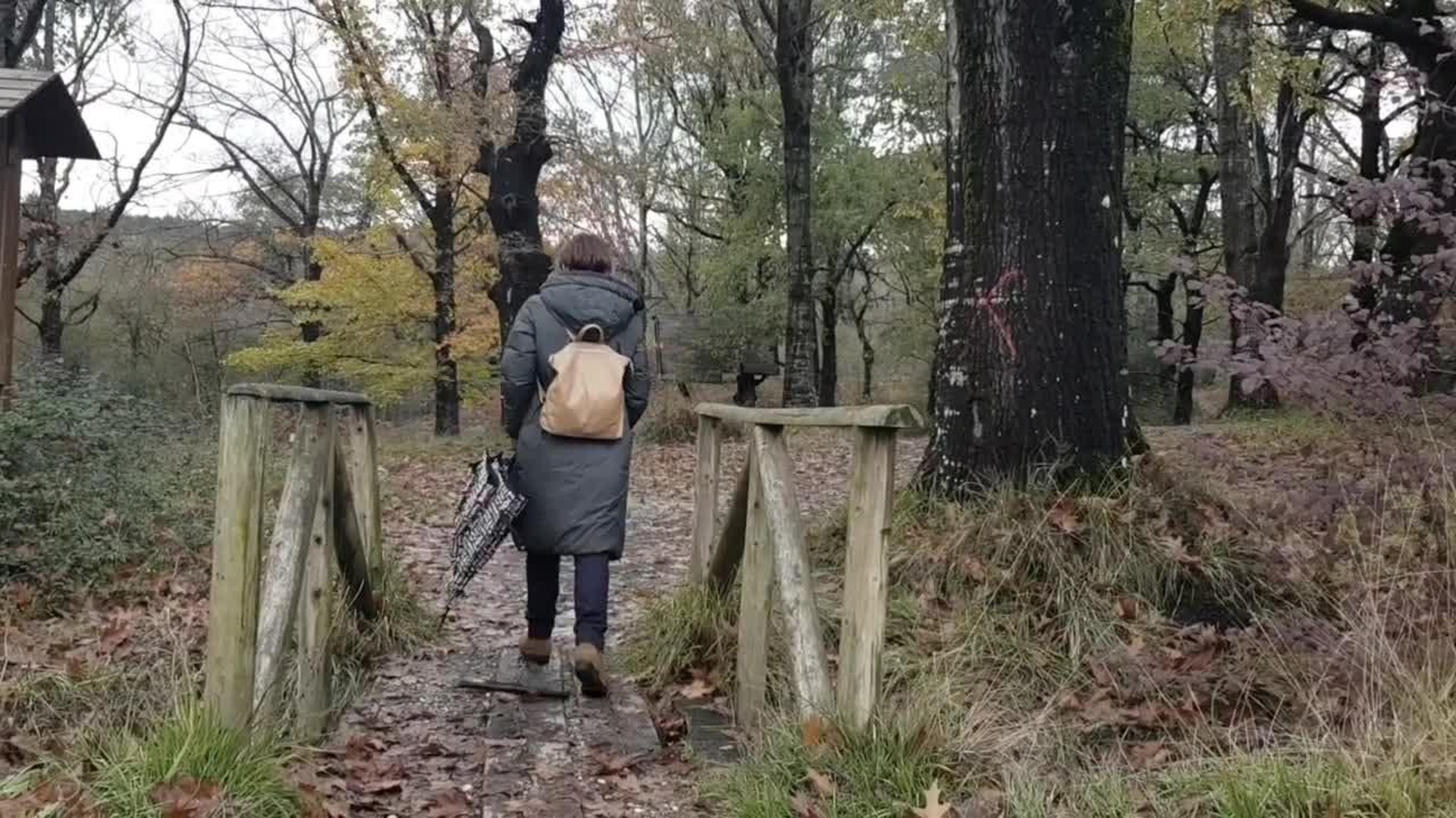Batzen gaituena dokumentala