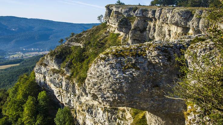 Natur parkeko lanak, zuzenketa bat, Arbizuko ihoteak eta EHko mus txapelketa