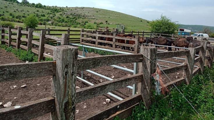 Azienda kudeatzeko bi lan eginen dira natur parkean