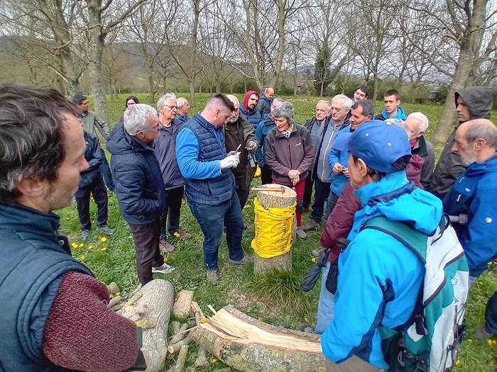 Intxaurrondoen kudeaketa ikasteko ikastaroa egin zen