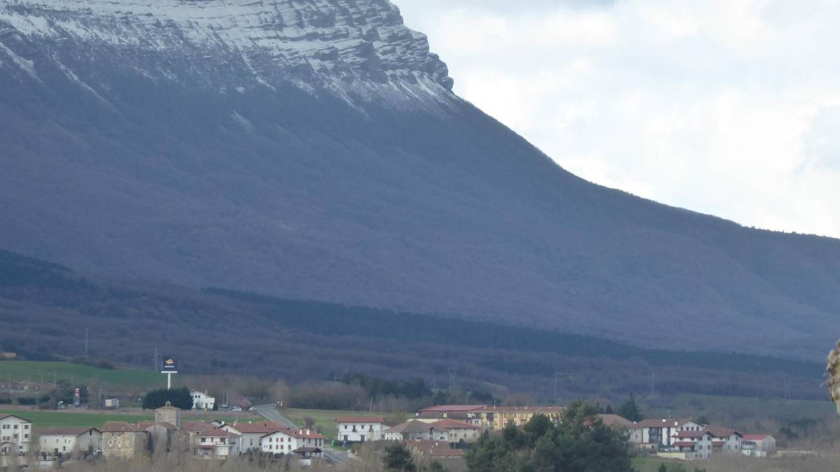 Etxarrenek baso aprobetxamendua saldu nahi du