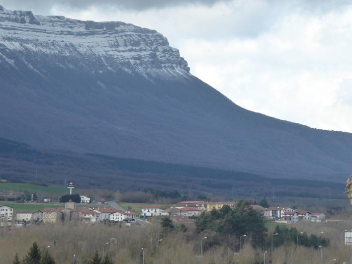 Etxarrenek baso aprobetxamendua saldu nahi du