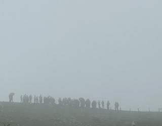 Lainopean, maiatza gora