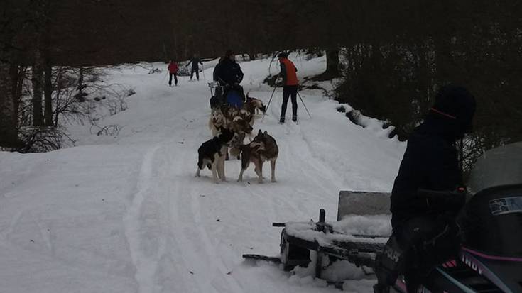 Elurraren egunean, gozatu ederra